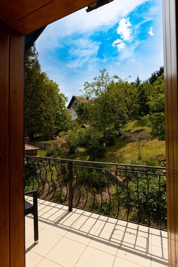 Casa Adalmo Hotel Sighisoara Exterior photo